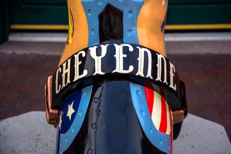 21 AllAmerican Things to Do in Cheyenne, Wyoming (2021