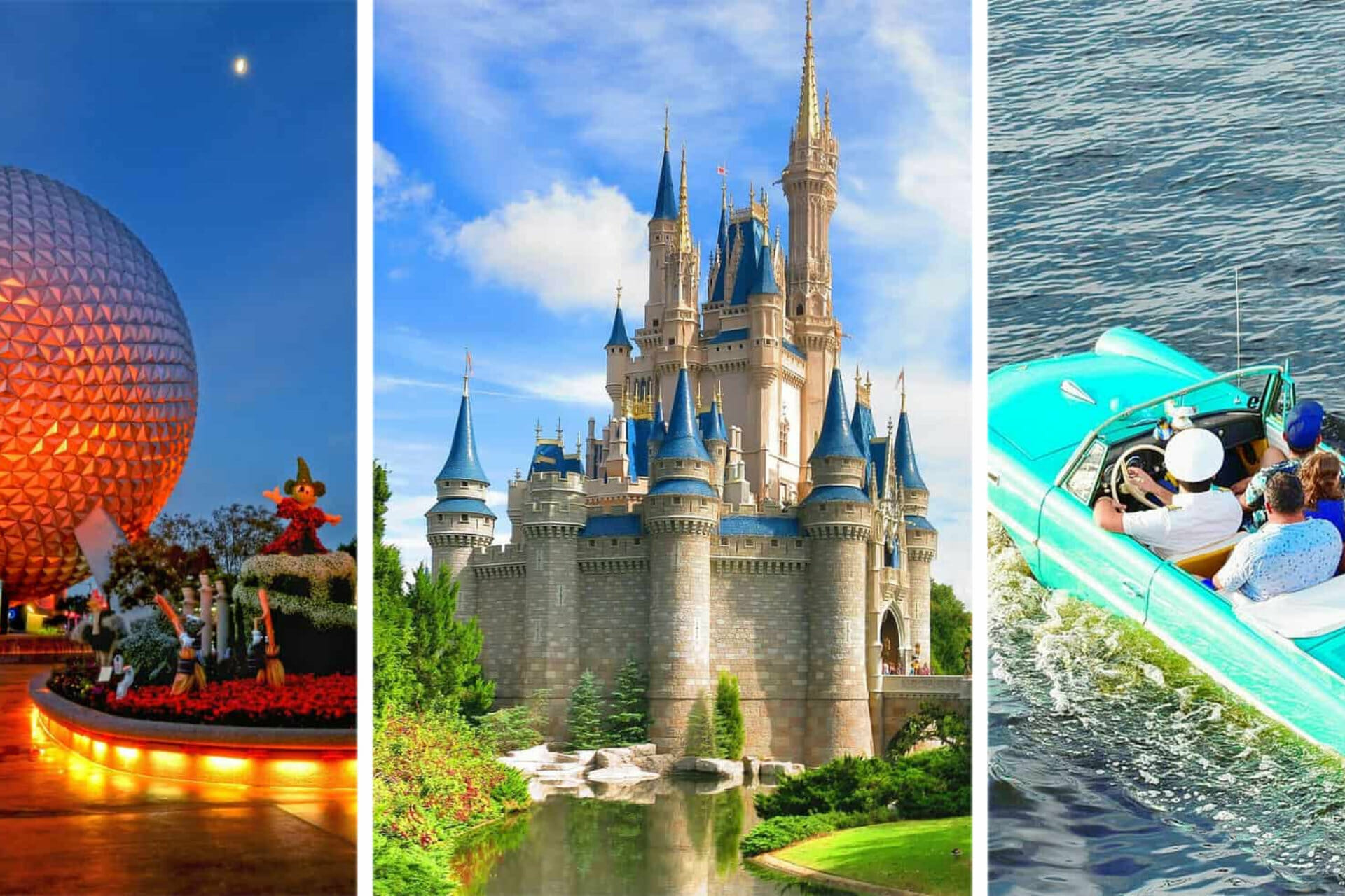 Disney World for Adults