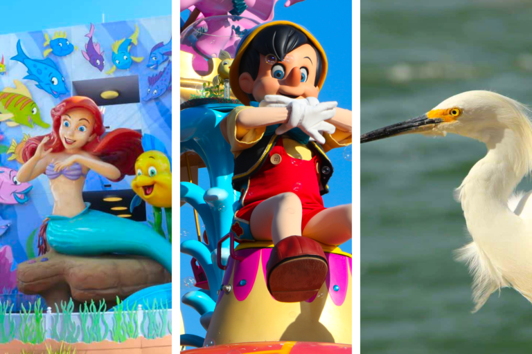 Play spaces & playgrounds for orlando. 15 Fun Things to Do in Orlando with Toddlers AllAmerican Atlas