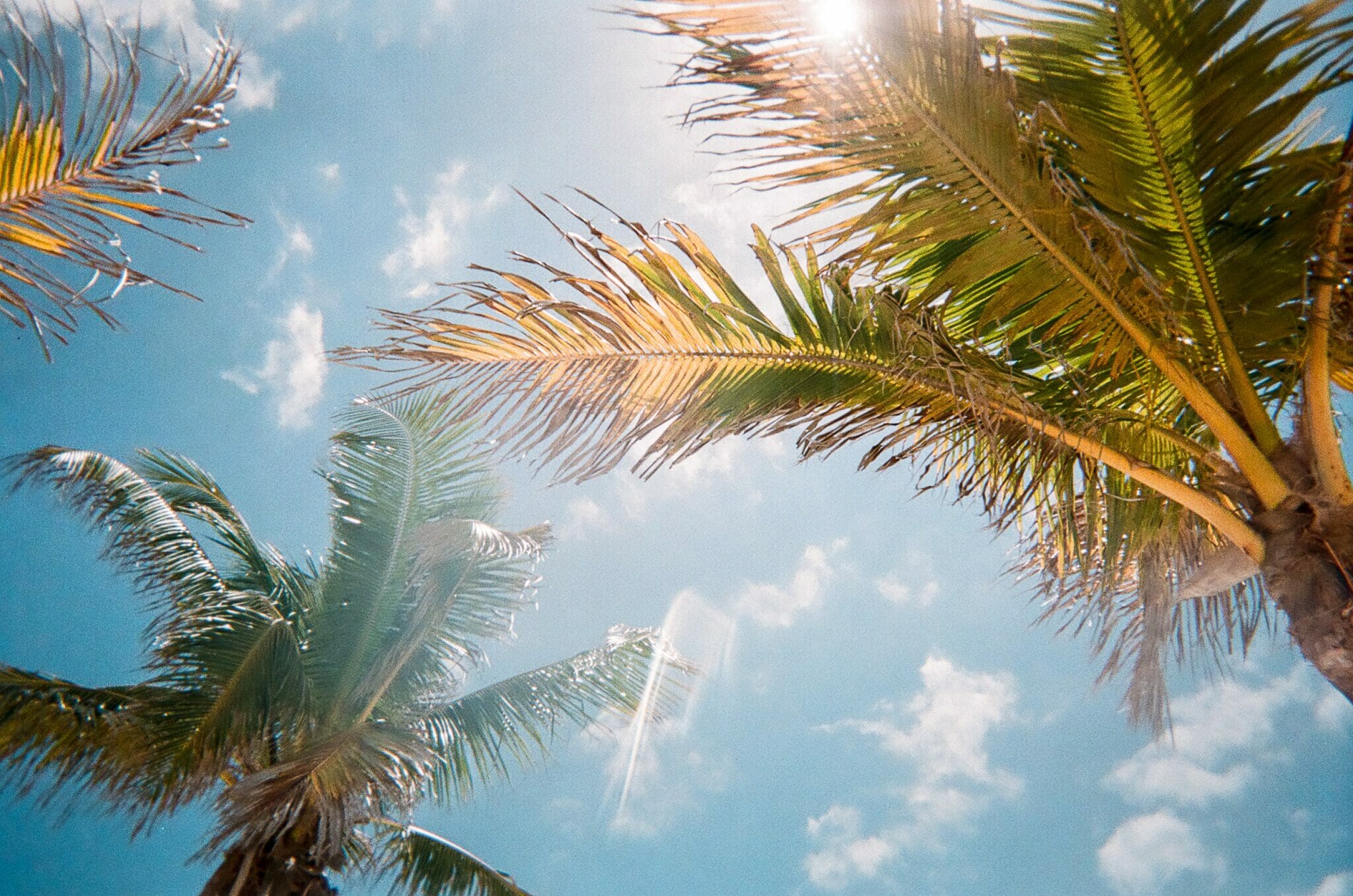 Florida in Winter the Ultimate Guide to Winter in the Sun All