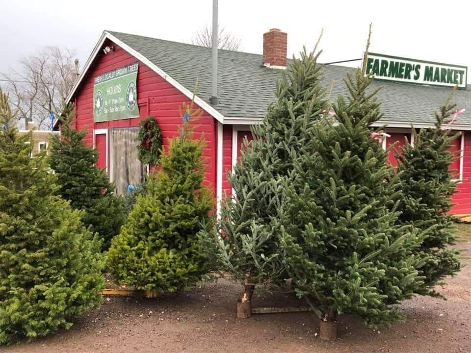 7 Jolly Things to Do in Duluth, Minnesota at Christmas (2020) All