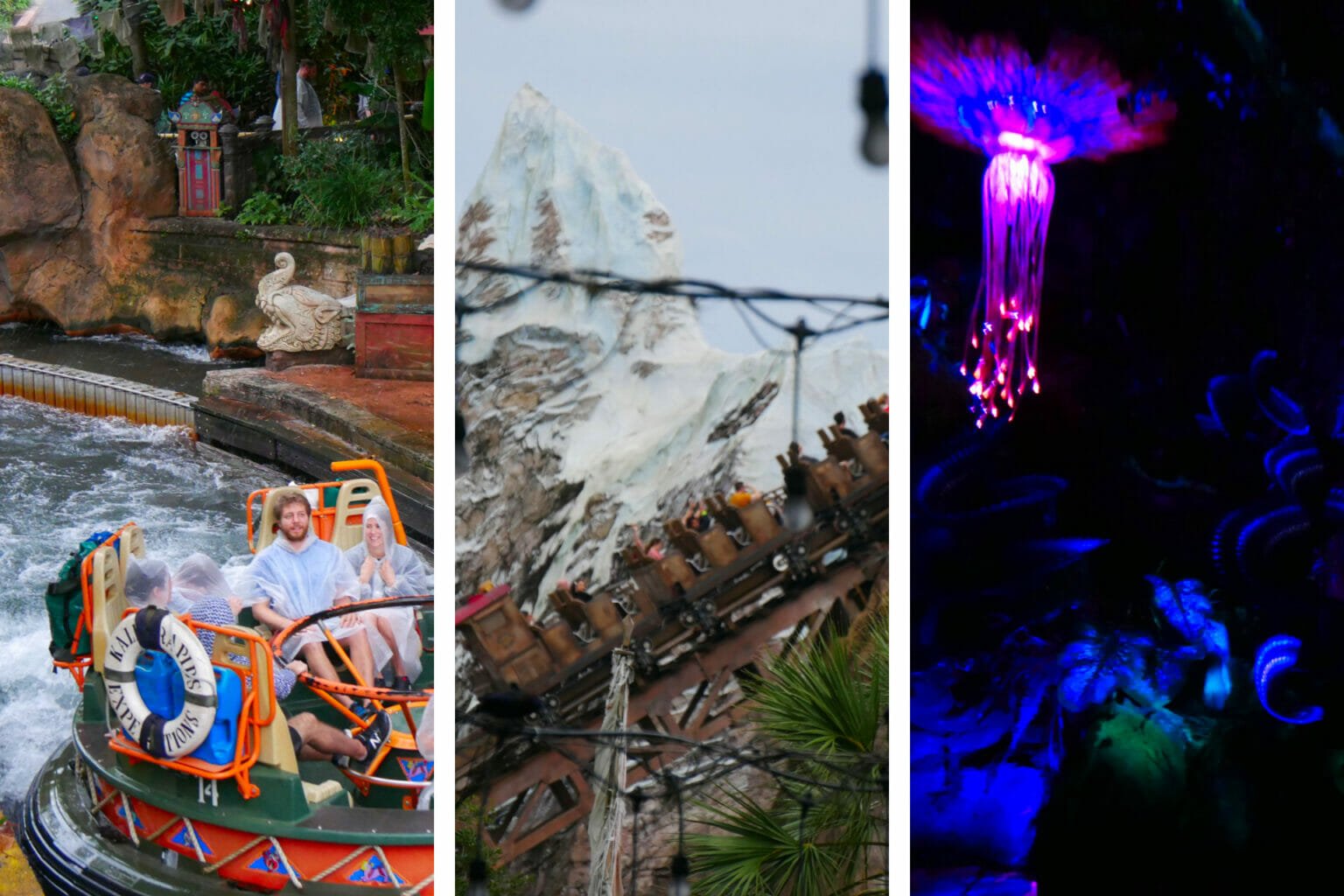 Best Animal Kingdom Rides in 2021 (Honestly) AllAmerican Atlas