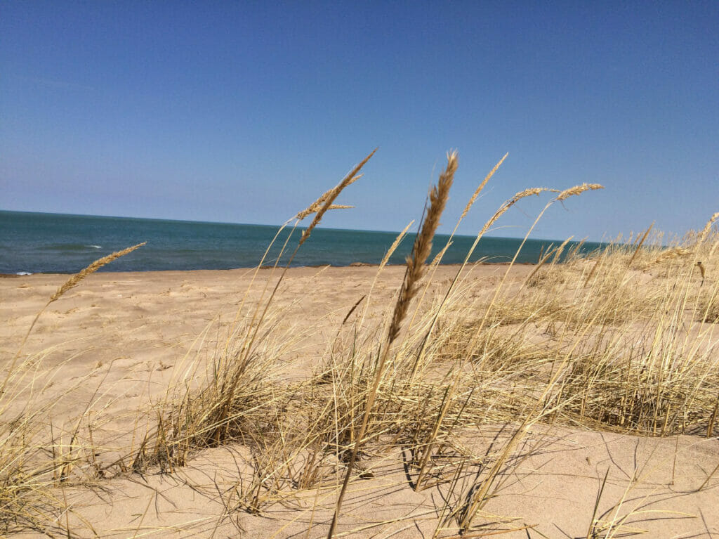 Indiana Dunes
