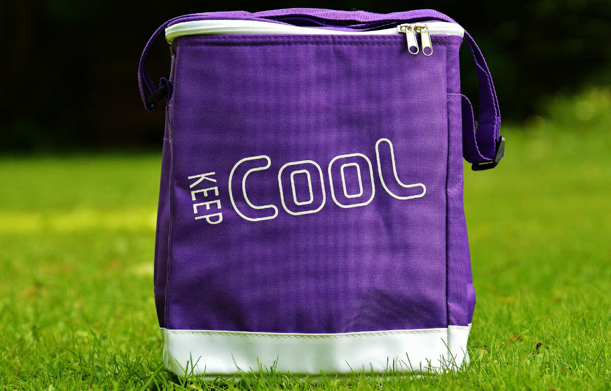 7+ Best Coolers for Disney World by a local) All