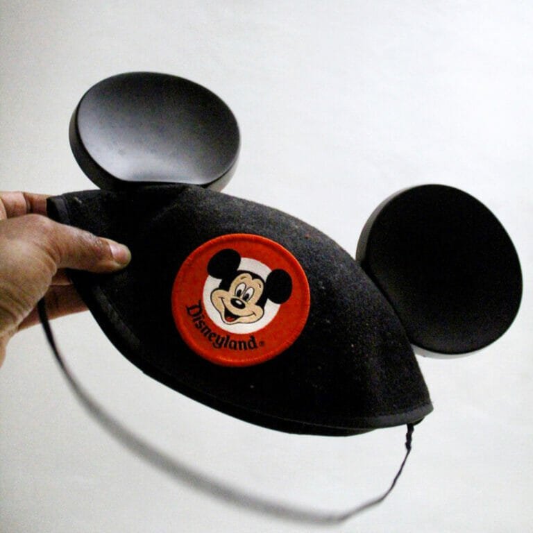 9+ Best Hats for Disney World 1 Guide to Best Disney World Hats All