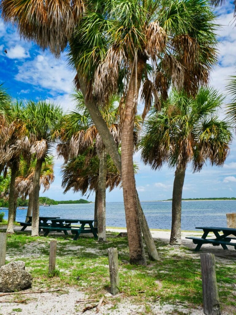 Fort De Soto Park, Florida Ultimate Guide + Tips (2021) AllAmerican