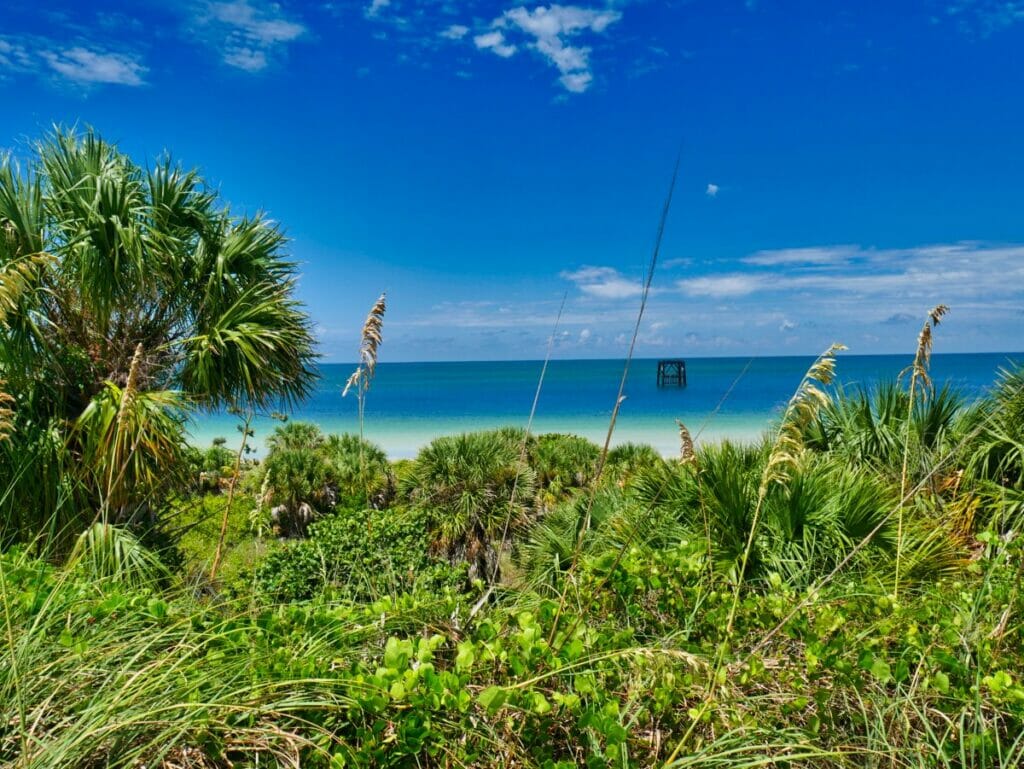 Fort De Soto Park, Florida: Ultimate Guide + Tips (2021) - All-American