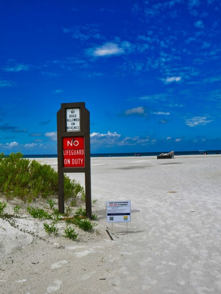 Fort De Soto Park, Florida Ultimate Guide + Tips (2021) AllAmerican