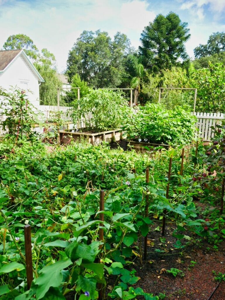 Leu Gardens