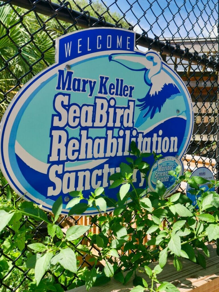 Marine Science Center in Daytona