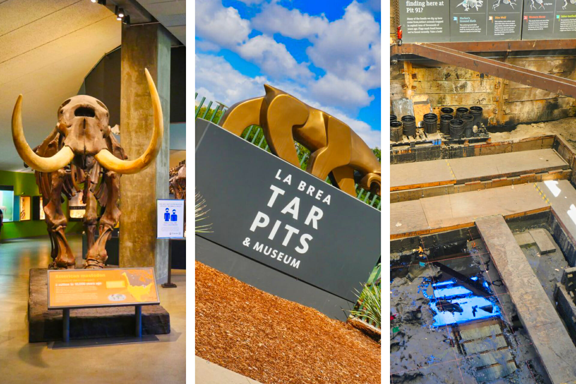 La Brea Tar Pits And Museum History